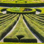 Usługi fiskalne oraz rachunkowość – W jaki sposób efektywnie administrować obowiązkami podatkowymi?